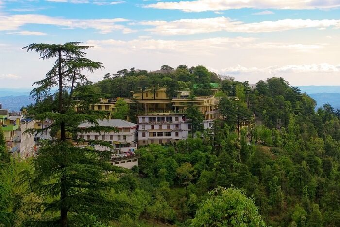 Namgyal-Monastery-in-Dharamshala.jpg